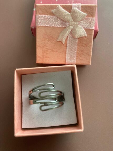 Anel Maximalista aço