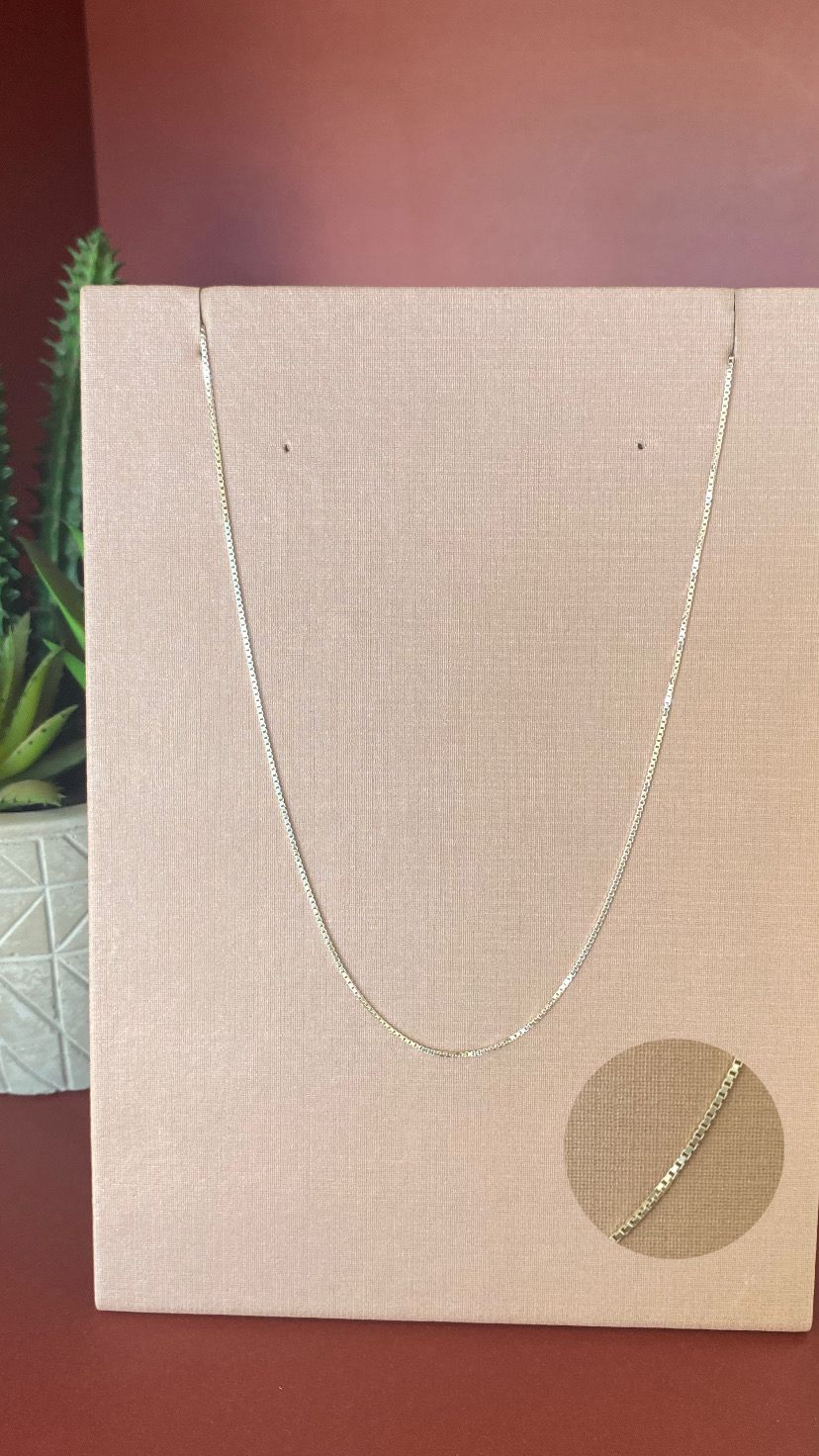 WhatsApp Image 2025-09-26 at 10.59.05